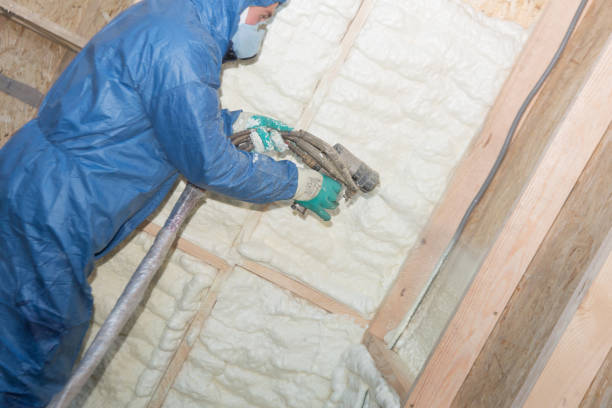 Best Spray Foam Insulation  in West Puente Valley, CA